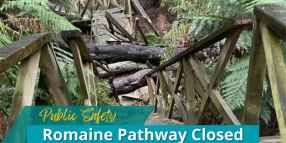 Romaine Pathway Pedestrian Bridge Closed