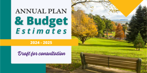 Have Your Say: Draft Annual Plan and Budget Estimates 2024-25