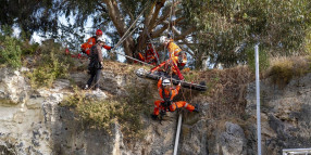 Quarry Amphitheatre Hosts WOW Day Event