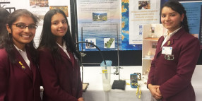 Campbelltown STEM students showcase projects