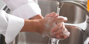 Introductory Food Handler Training Course