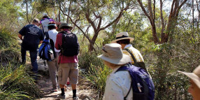 Salt Pan Creek river walk - Biodiversity Month