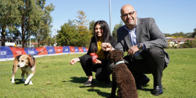 New separated off-leash dog parks on the way