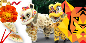 Celebrate Lunar New Year in Canterbury-Bankstown