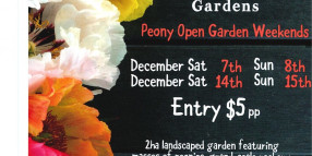 KAYDALE LODGE GARDENS – PEONY OPEN GARDEN WEEKENDS | 7-8 & 14-15 DECEMBER