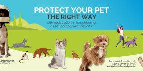 It’s time to register your furry friend!