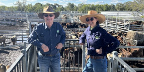 From Emerald Saleyards Trainee to Manager