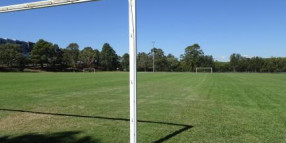 Reopening of sports fields for training under conditions
