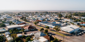 Public Consultation - Jacaranda Trees