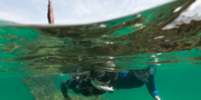 Coogee Maritime Trail a finalist in state-wide Coastal Awards