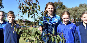 Bishop Park hosts Hiroshima Day tree planting