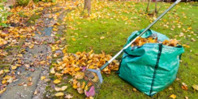 Online applications for Melbourne residents to clean up properties