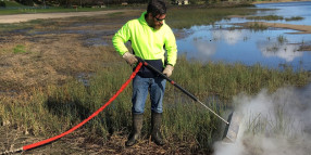 Colac Otway trials steam weed control