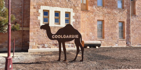 Historical Statue Installations in Coolgardie