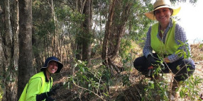 Introduction to Bushcare Workshop - Weed identification and management