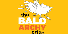 Seeking Volunteers: Help Run the 2024 Bald Archy Prize