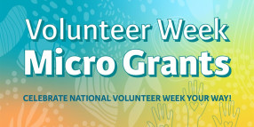 Micro Grants Now Available for Federation Volunteers