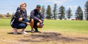 (15/10/2019) Please keep dogs off Stevens Reserve cricket wickets