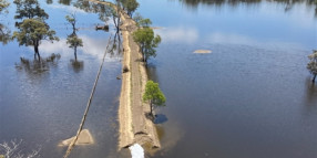 Contribute to the 2022 flood event inquiry