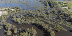 The Gannawarra's flood recovery continues