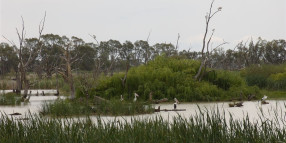 United approach to Middle Reedy Lake's flood recovery