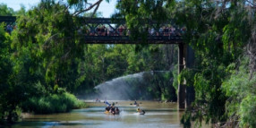 Crikey! It’s Australia Day in Gunnedah