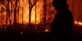 Statement from Lord Mayor regarding Australian bushfire crisis