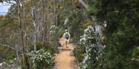 Zig Zag Track storm repairs to start