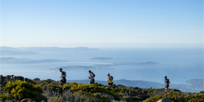 City of Hobart supporting kunanyi/Mt Wellington diversity