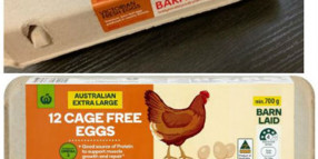 Food Recall - Woolworths 12 Cage Free Eggs