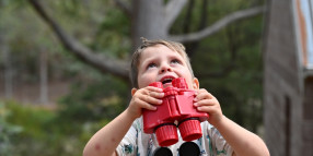 New guide unlocks secret world of Hobart's bird world