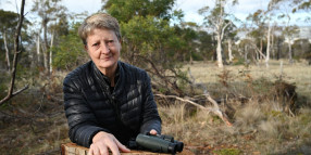 Protecting our wildlife and bushland against illegal wood hooking