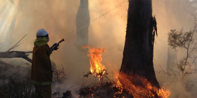 Protecting the Huon from bushfire