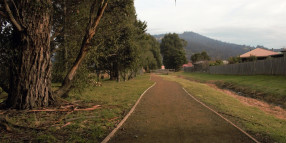 Skinners Creek Walking Track partial reopening