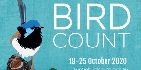 Join in the 2020 Aussie Backyard Bird Count, October 19–25