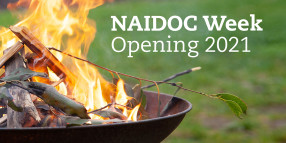 NAIDOC WEEK OPENING FILM