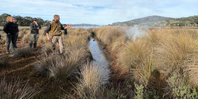 Cultural Burning Workshop at Burtons Reserve