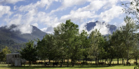 Protecting the Huon Valley’s natural environment