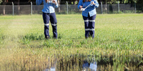 Early start in war against mozzies