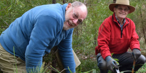 Maintaining our beautiful reserves is everyone’s responsibility