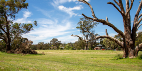 Exciting future for Norwood Reserve and Woodland Park