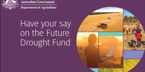 Have your say – Future Drought Fund Public Consultations