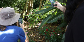 Be a BioQuest Explorer and Put Coffs on the Biodiversity Map