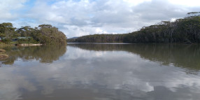 Woolgoolga Lake Draft Plan of Management Takes Next Step