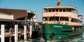 Calls to delay changes for Manly’s iconic ferries