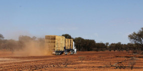 Border closure risks put the kybosh on Burrumbutto...