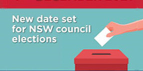 Council elections