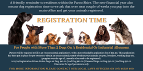 Dog Registration