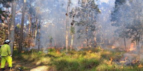 Planned burn: North Stradbroke Island – 18 to 21 June 2024