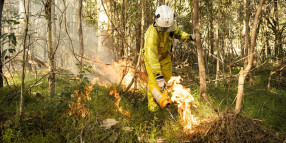 Planned burn: Russell Island – 2 to 6 September 2024